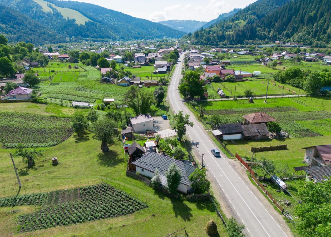 Gasthaus Casuta De Vacanta Poiana Poiana Teiului Exterior foto